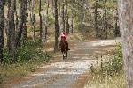 04 - 60 Km UNIRE ROSA